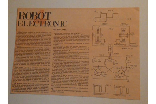Document Robotul Electronic nr. 4 (Vintage)