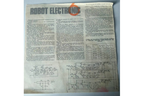Document Robotul Electronic nr. 6 (Vintage)