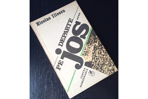 Departe, pe jos…  - Nicolae Iliescu, 1983, Carte veche